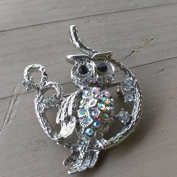 Jewelry - 💥Clearance Owl brooch pin silver with rines stone
